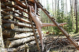 Ukrainian Virgin Younger Babes